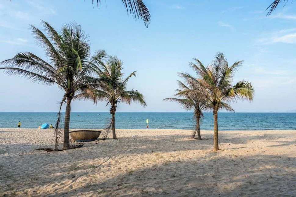 Купающиеся в мелкой воде под рядом пальм на вьетнамском пляже
