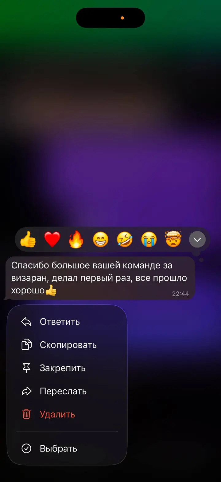 Скриншот переписки: отзыв клиента Me VN о визаране во Вьетнам