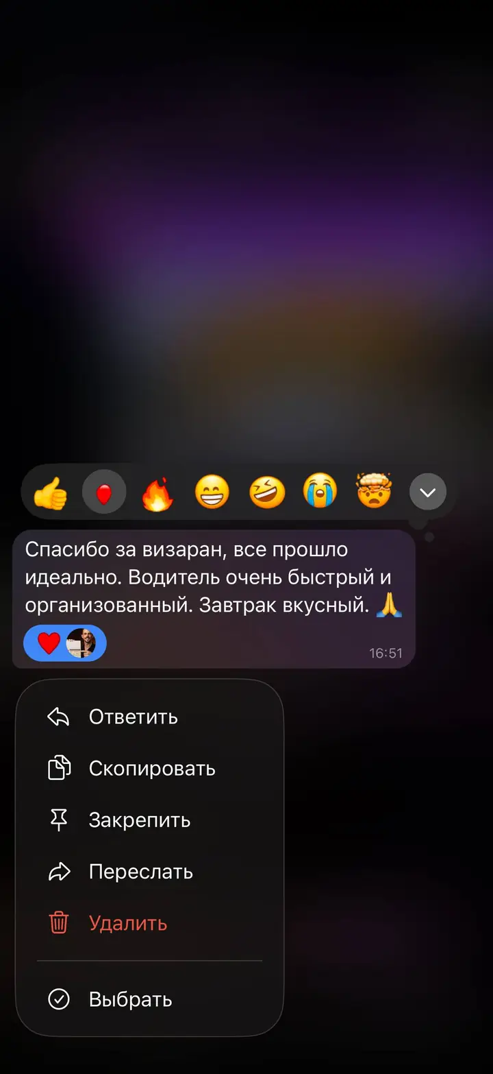 Скриншот переписки: отзыв клиента Me VN о визаране во Вьетнам