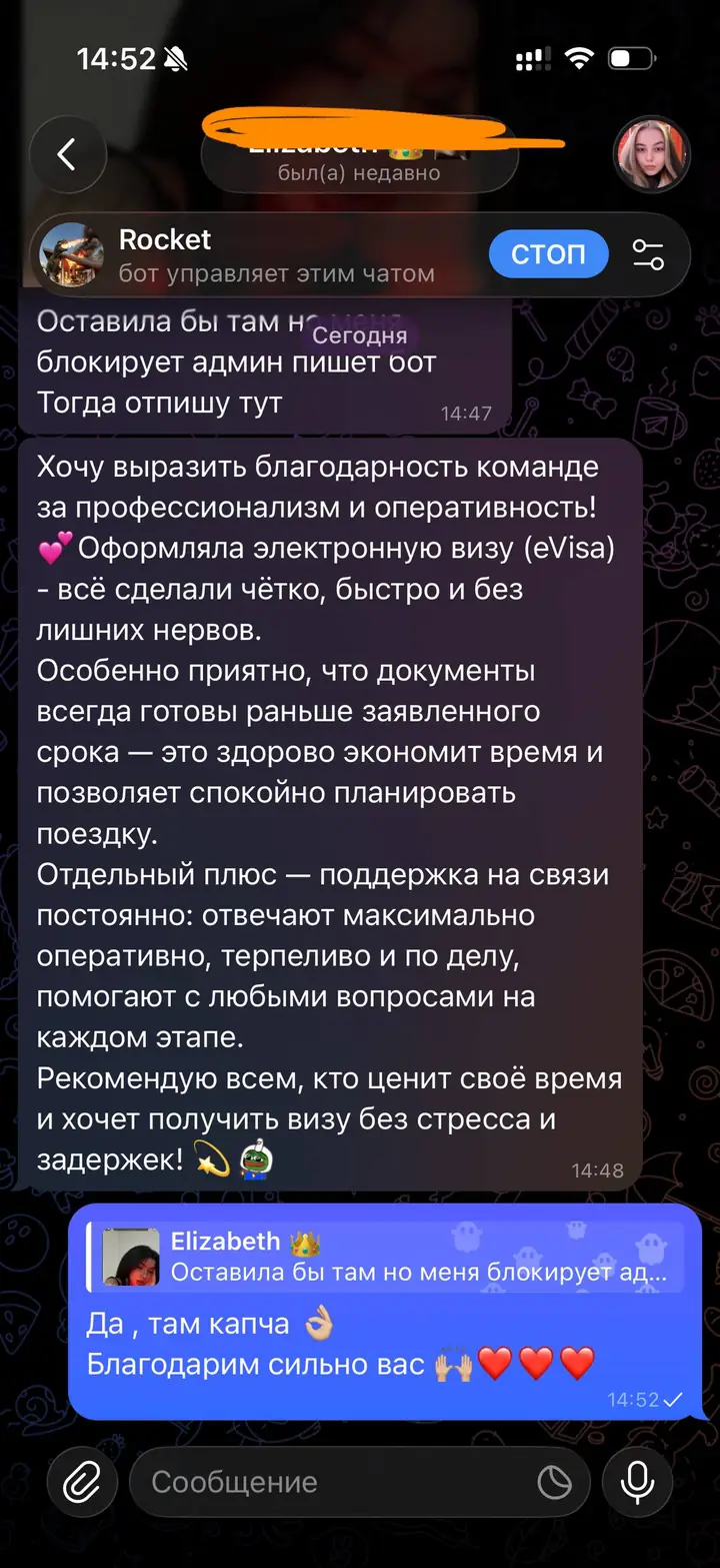 Скриншот переписки: отзыв клиента Elizabeth о визаране во Вьетнам
