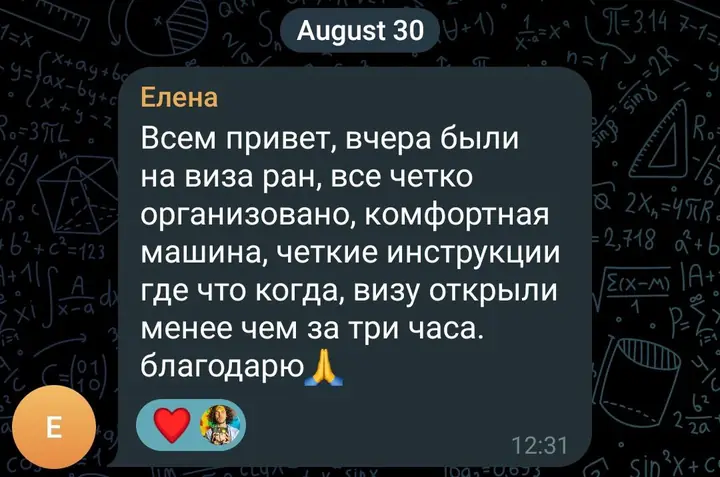 Скриншот переписки: отзыв клиента Елена о визаране во Вьетнам