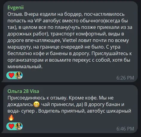 Скриншот переписки: отзыв клиента Evgenii о визаране во Вьетнам