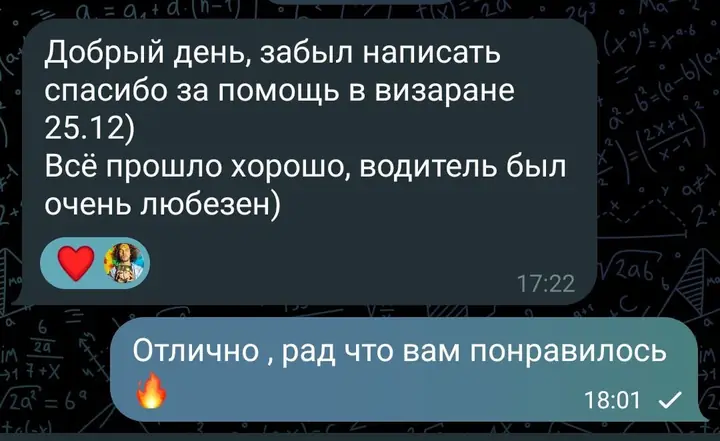 Скриншот переписки: отзыв клиента клиент о визаране во Вьетнам