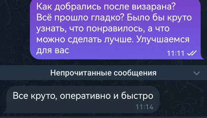 Скриншот переписки: отзыв клиента клиент о визаране во Вьетнам