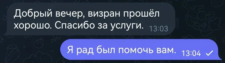 Скриншот переписки: отзыв клиента клиент о визаране во Вьетнам