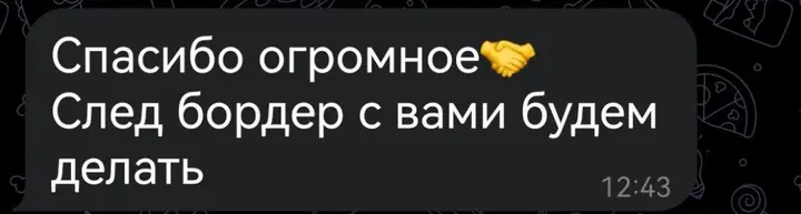 Скриншот переписки: отзыв клиента клиент о визаране во Вьетнам