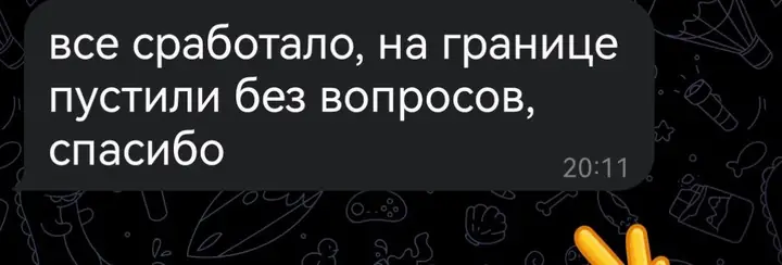 Скриншот переписки: отзыв клиента клиент о визаране во Вьетнам