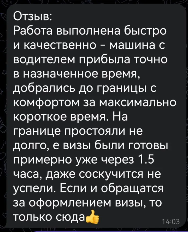Скриншот переписки: отзыв клиента Me VN о визаране во Вьетнам