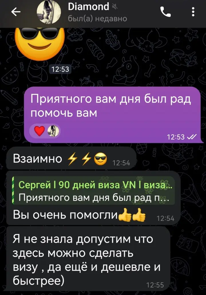 Скриншот переписки: отзыв клиента Me VN о визаране во Вьетнам