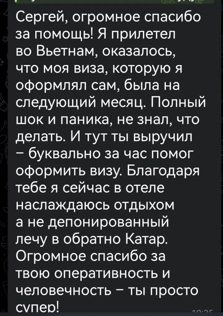 Скриншот переписки: отзыв клиента Me VN о визаране во Вьетнам