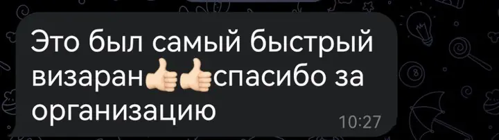 Скриншот переписки: отзыв клиента Me VN о визаране во Вьетнам