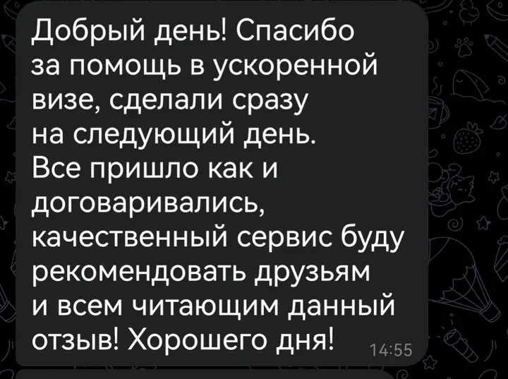 Скриншот переписки: отзыв клиента Me VN о визаране во Вьетнам