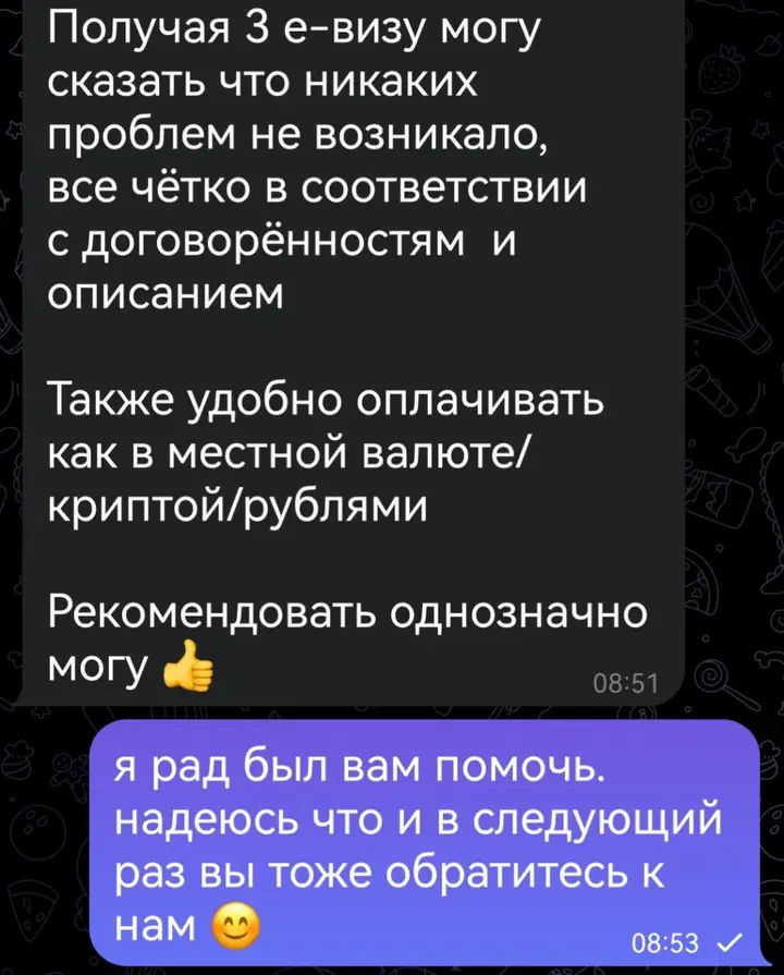 Скриншот переписки: отзыв клиента Me VN о визаране во Вьетнам