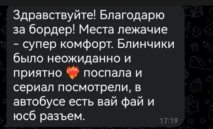 Скриншот переписки: отзыв клиента Me VN о визаране во Вьетнам