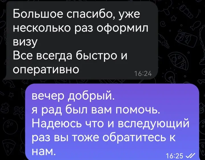 Скриншот переписки: отзыв клиента Me VN о визаране во Вьетнам