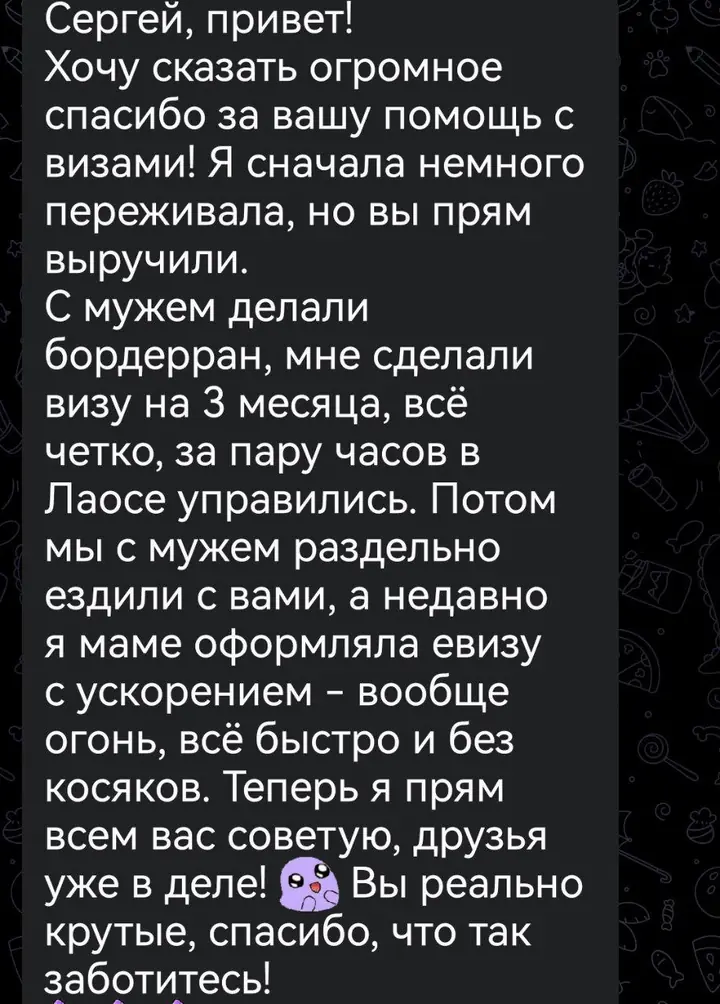 Скриншот переписки: отзыв клиента Me VN о визаране во Вьетнам