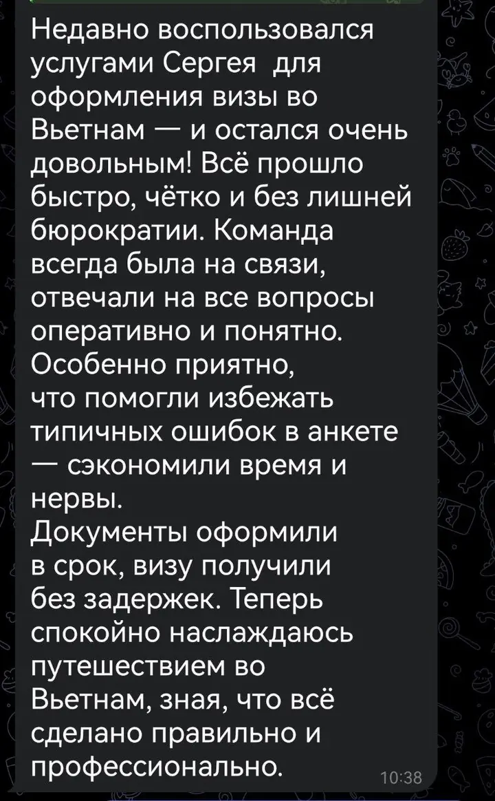 Скриншот переписки: отзыв клиента Me VN о визаране во Вьетнам