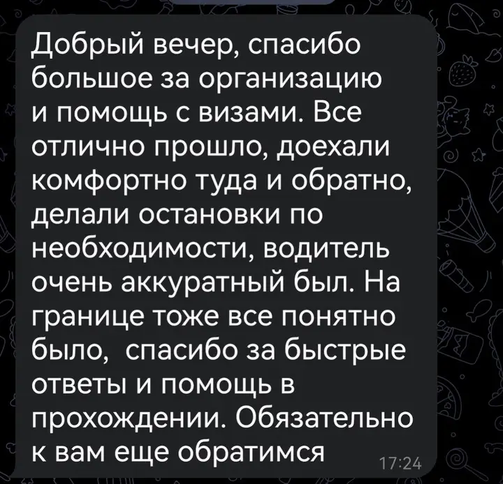 Скриншот переписки: отзыв клиента Me VN о визаране во Вьетнам