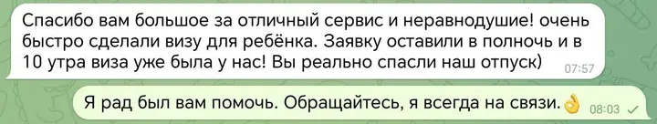 Скриншот переписки: отзыв клиента Me VN о визаране во Вьетнам