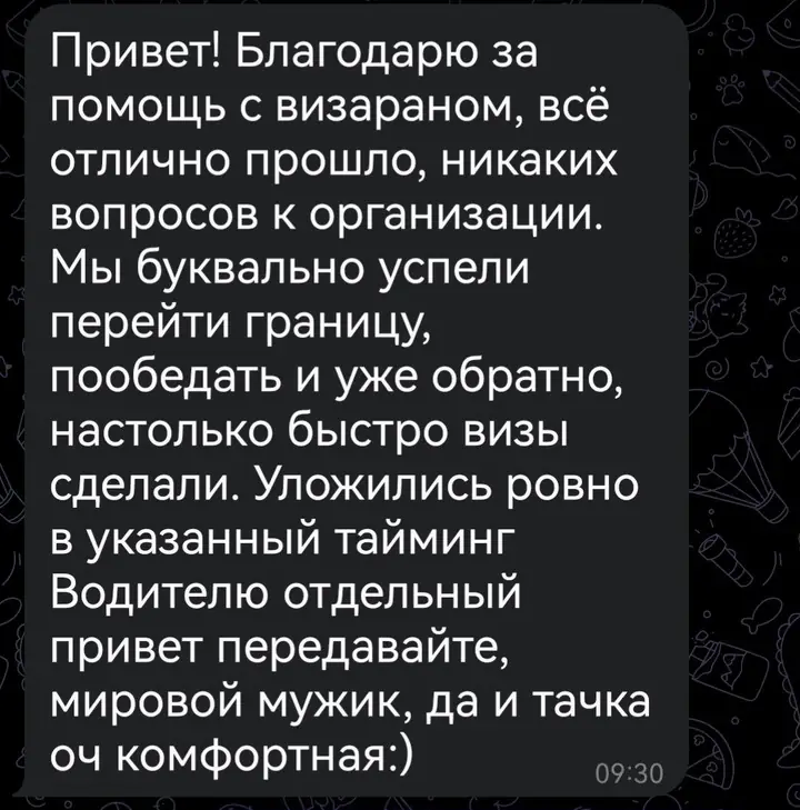 Скриншот переписки: отзыв клиента Me VN о визаране во Вьетнам