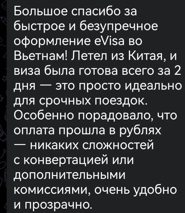Скриншот переписки: отзыв клиента Me VN о визаране во Вьетнам