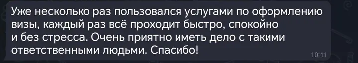 Скриншот переписки: отзыв клиента Me VN о визаране во Вьетнам