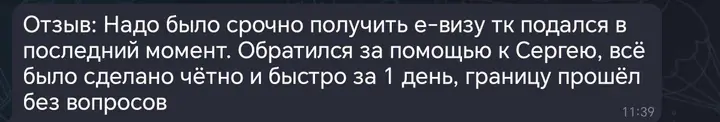 Скриншот переписки: отзыв клиента Me VN о визаране во Вьетнам