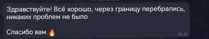 Скриншот переписки: отзыв клиента Me VN о визаране во Вьетнам