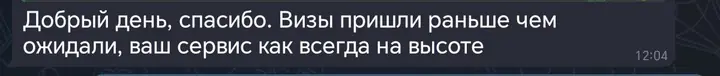 Скриншот переписки: отзыв клиента Me VN о визаране во Вьетнам