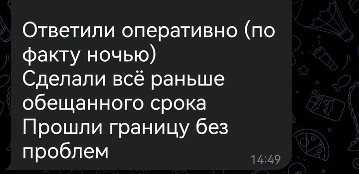 Скриншот переписки: отзыв клиента Me VN о визаране во Вьетнам