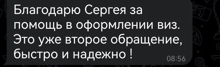 Скриншот переписки: отзыв клиента Me VN о визаране во Вьетнам