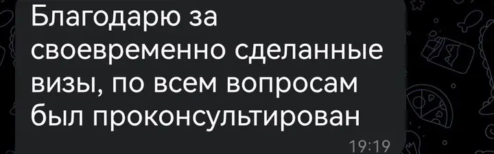 Скриншот переписки: отзыв клиента Me VN о визаране во Вьетнам