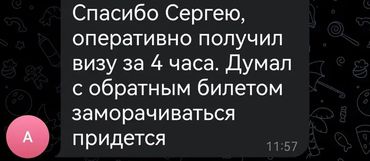 Скриншот переписки: отзыв клиента Me VN о визаране во Вьетнам