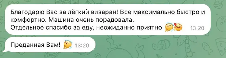 Скриншот переписки: отзыв клиента Me VN о визаране во Вьетнам